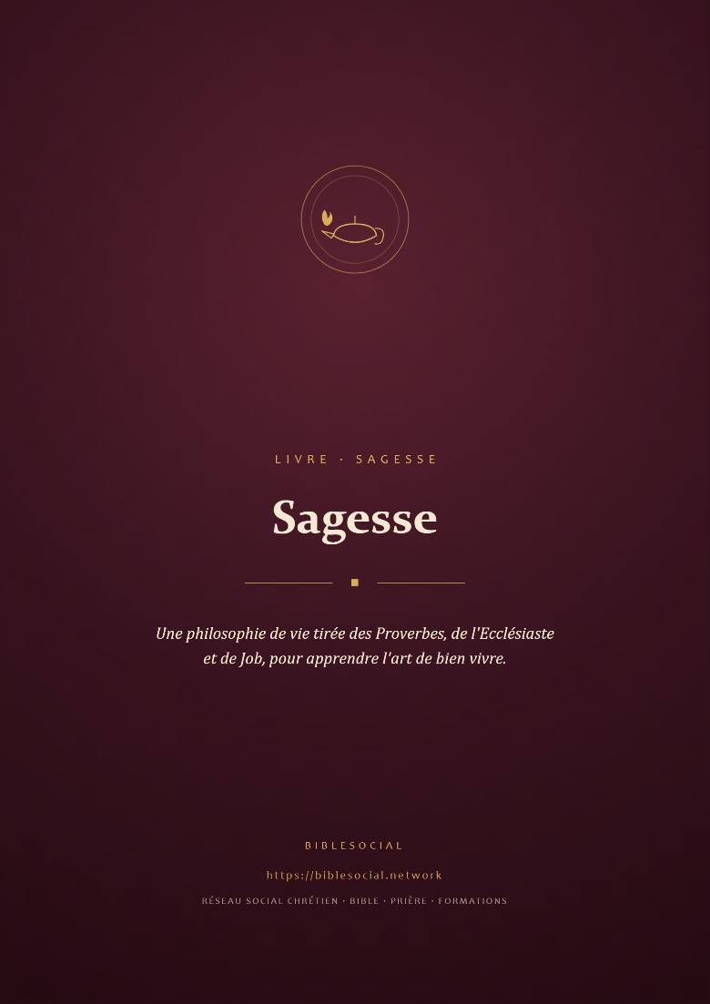 Couverture de Sagesse : une philosophie de vie